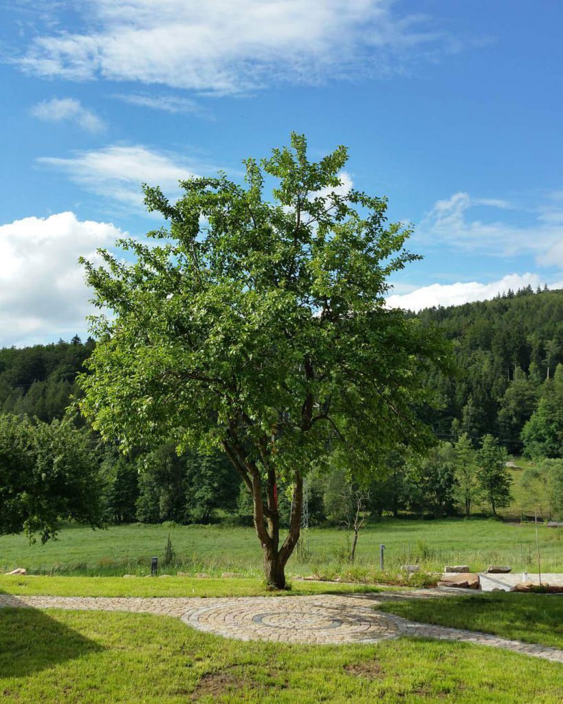 Grünes Idyll, ruhige Oase am Fuße der Wasserkuppe