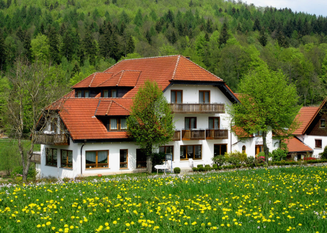 Rhön-Hotel Aussenansicht im Grün